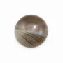 Cabochon agate du boswana, de forme ronde, 16mm x 2pcs