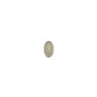 Cabochon d'agate grise, de forme ovale, 3 * 5mm x 10pcs