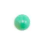 Cabochon de chrysoprase,de forme ronde,11mm x 1pc