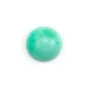 Cabochon de chrysoprase,de forme ronde,12mm x 1pc