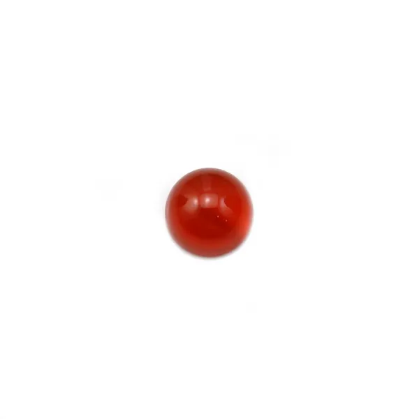 Agata rossa rotonda cabochon 6mm x 5pz