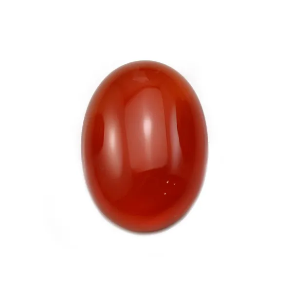 Cabochon cornaline ovale 13x18mm x 2pcs