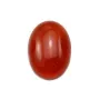 Cabochon cornaline ovale 13x18mm x 2pcs