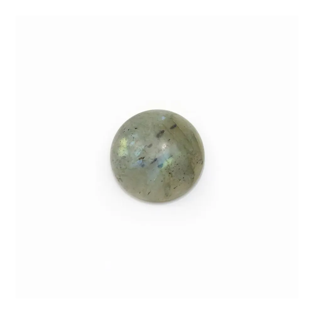 Cabochon labradorite rond 10mm x 2pcs