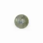 Cabochon labradorite rond 10mm x 2pcs