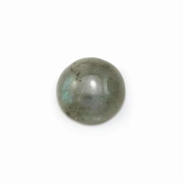 Cabochon rotondo di labradorite 12 mm x 1 pz