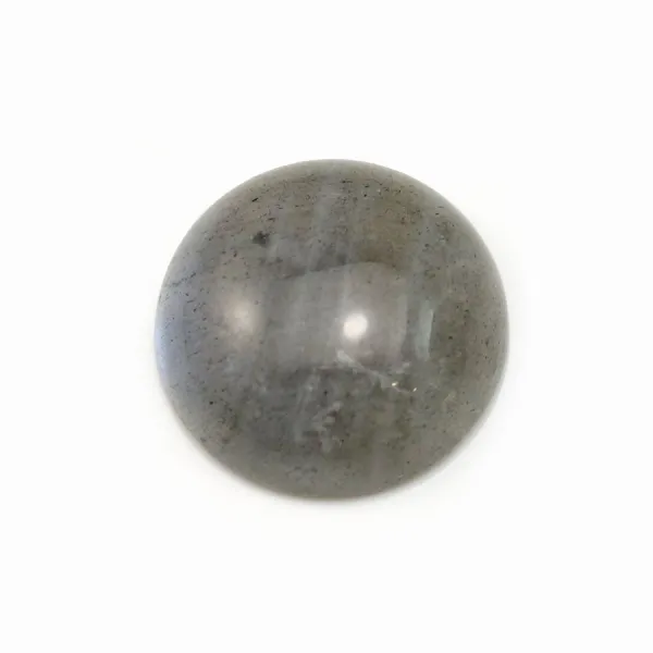 Cabochon labradorite rond 16mm x 2pcs