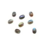 Labradorite cabochon, in round shape, 10mm x 2pcs