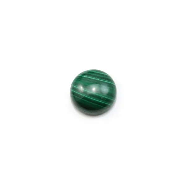 Cabochon malachite rond 6mm  x 1pc