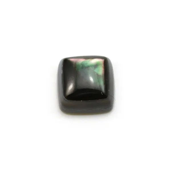 Cabochon de nacre grise, de forme carré, 10mm x 1pc