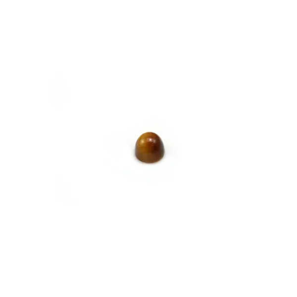 Cabochon d'oeil de tigre, de forme ronde, 2mm x 4pcs