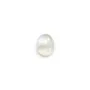 Cabochon Moonstone Oval 4x6mm x 1pc