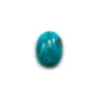Cabochon of oval-shaped turquoise, 13 * 18mm, x 1pc