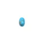 Cabochon turquoise reconstituée ovale 4x6mm x 5pcs