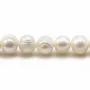 Perles d'eau douce blanches rondes 9-10mm x 10pcs