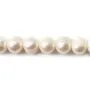 Perle de culture d'eau douce blanche, ovale, 10-11mm x 39cm