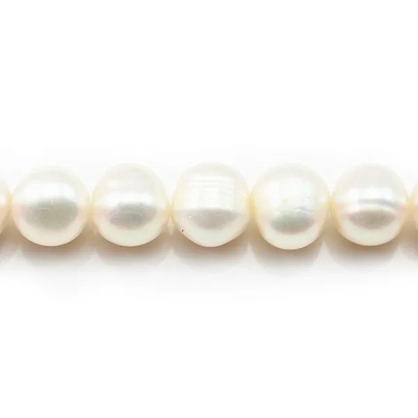 Perles d'eau Douce Blanc 10-12mm x 2pcs