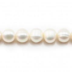 White round freshwater pearl 10-12mm x 2pcs