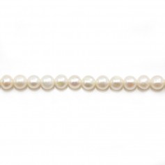 white Pearl culture round 4.5MM x 40cm