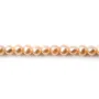 Perles d'eau Douce saumon rond 5mmX 40 cm 