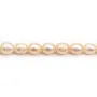 Perles d'eau douce ovales couleur saumon 7-10mm x 6pcs