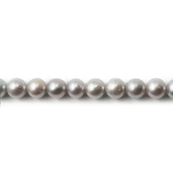 Perles d'eau Douce Rond Grise 6mm x 40 cm