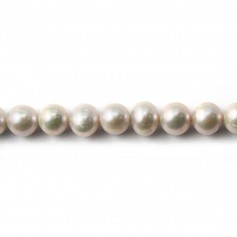 Grey Freshwater Pearl Round 7mm x 40 cm 