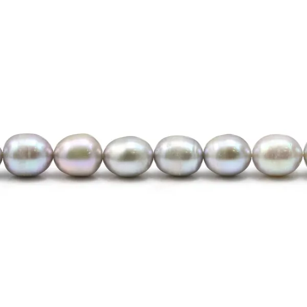 Perles de culture d'eau douce, grise B, olive, 7-8mm x 10pcs