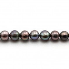 Bleu& violet Freshwater Pearl 8x9mm  x  2pc