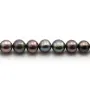 Perles d'eau Douce bleu&violet 8-9mm x 2pc