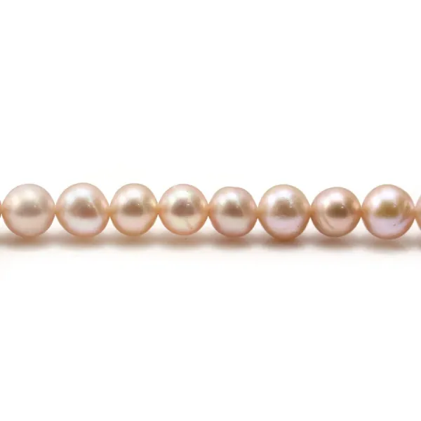 Perles d'eau douce mauve rondes  6mm x 6pcs