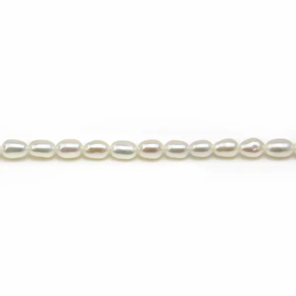 Perles de culture d'eau douce, blanche, olive, 2.5x4mm x 10pcs