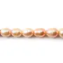 Perles de culture d'eau douce, saumon, olive/irrégulière, 8.5-9mm x 5pcs