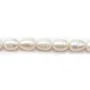 White oval freshwater pearls on thread 10-11mm x 39cm
