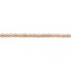 Salmon color oval freshwater pearls on thread 3-4mm x 40cm