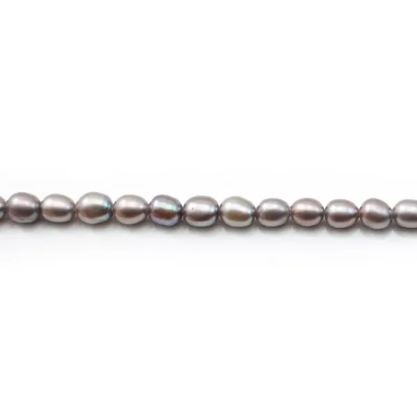 Pérolas cultivadas em água doce, cinza, azeitona, 4,5-5mm x 38cm