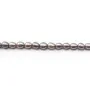 Perles d'eau Douce teinte  ovale 4.5-5mm x 40cm