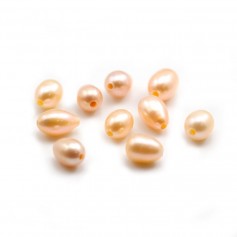 Freshwater Pearl Salmon 10-12 mm