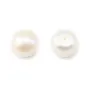 Perles de culture d'eau douce, semi-percée, blanche, bouton, 10-10.5mm x 2pcs
