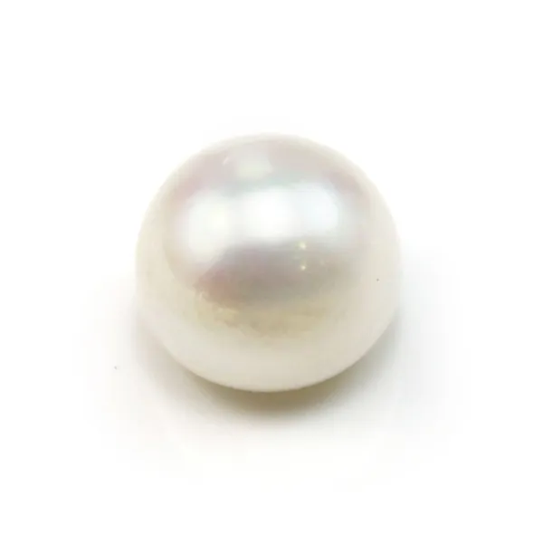 Perlas de agua dulce, semi-perforadas, blancas, botón, 12-13mm x 1 ud.