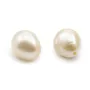 Perle de culture d'eau douce, semi-percée, blanche, olive, 7-8mm x 1pc