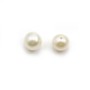 Pearl freshwater demi tron 7mm blanc x 10 pcs