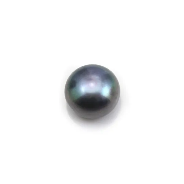 Perlas de agua dulce, semi-perforadas, azul oscuro, botón, 9-9.5mm x 2 uds.