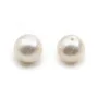 Perle de culture d'eau douce, semi-percée, blanche, ronde, 8-9mm x 1pc
