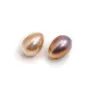 Perle de culture d'eau douce semi-percé, ovale mauve, 6-6.5mm  x 2pcs