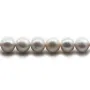 Perle de culture d'eau douce grise, semi-ronde, 9-10mm x 39cm