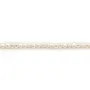Perles de culture d'eau douce, blanche, ovale/irrégulière, 2-3mm x 37cm