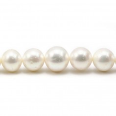 Freshwater pearl, in white color, in round shape, and in size of 13-15mm x 40cm