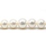 Freshwater pearl, in white color, in round shape, and in size of 13-15mm x 40cm