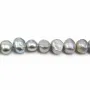 Perles d'eau douce baroque grise 6-7mm x 36cm